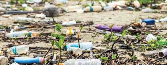 Stemming the tide of ocean plastics