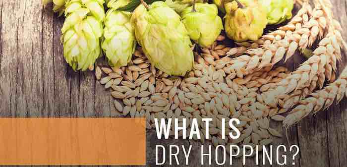 What-Is-Dry-Hopping.jpg