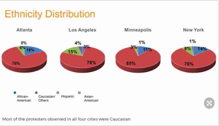 Ethnicity Distribution