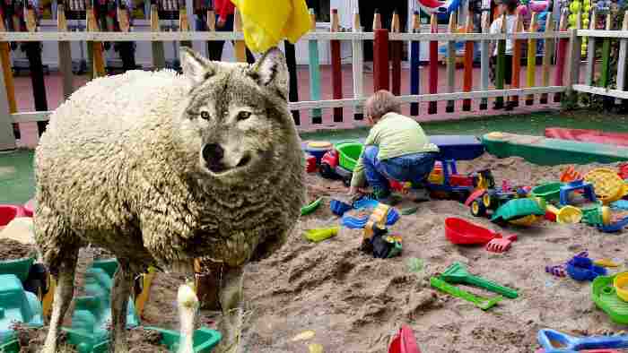 Children’s Book Authors Adult Versions of Wolves in Sheep’s Clothing