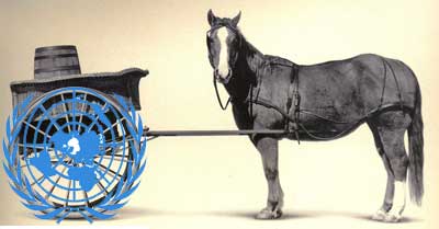 The UN: Always Putting the Horse Behind the Cart