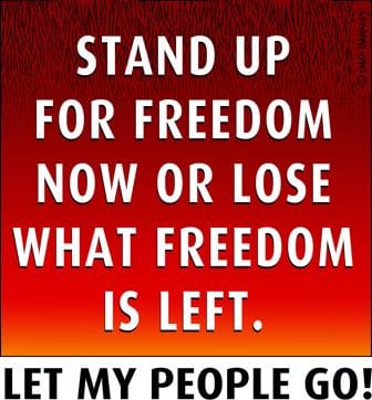 Stand Up For Freedom Now, Or Lose What Freedom Is Left