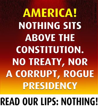 America!  Nothing sits above the Constitution. No treaty, nor a corrupt , rogue Presidency