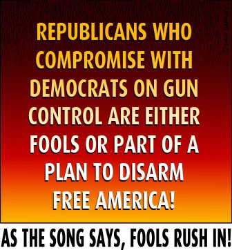 FOOLS RUSH IN!