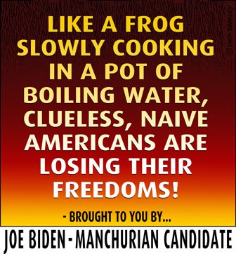 Clueless, Naive Americans Are Losing Their Freedoms