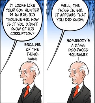 Biden:  Somebody's A Damn Dog-Faced Squealer