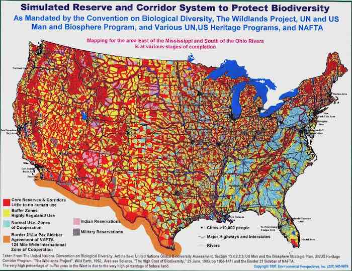 SIMULATED RESERVE AND CORRIDOR SYSTEM TO PROTECT BIODIVERSITY