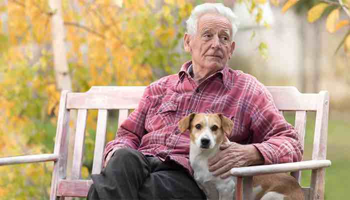 Pet Therapy: Unconditionally Good for You?