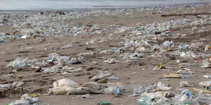 Plastic Soup a Disastrous Meal