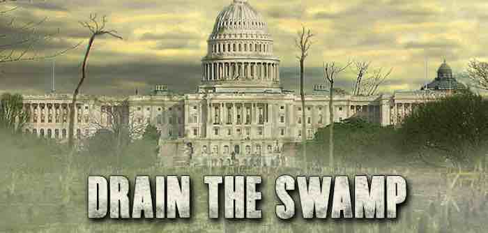 Why The Swamp Has Little To Fear