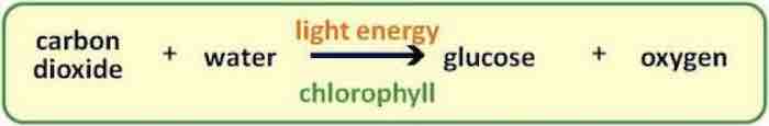 Chemistry of photosynthesis