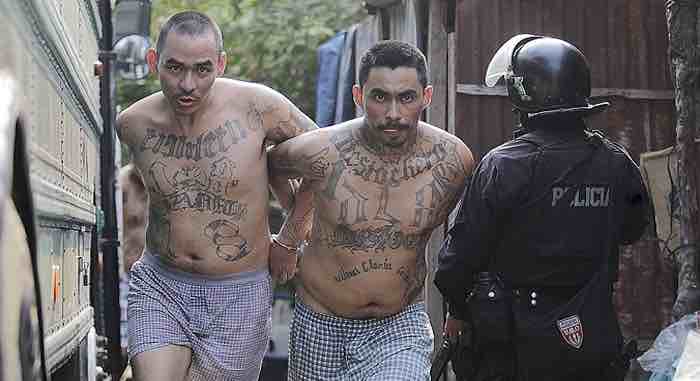 Overwhelming majority of Americans perfectly ok with calling MS-13 ‘Animals’