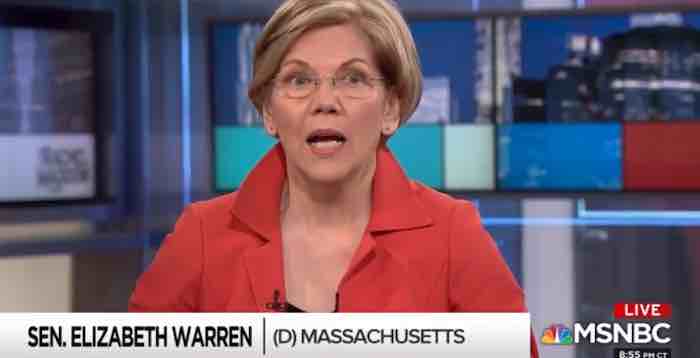 Elizabeth Warren is ‘filled with terror’ about her party’s 2018 midterm chances