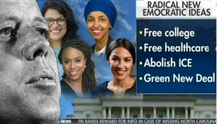 Do Democrat Loyalists Really Know their Party?