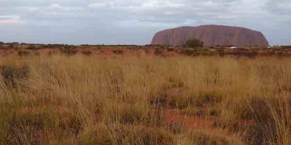 Greenism Destroying Australia’s Ancient Grasslands