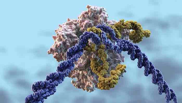 Company-sponsored CRISPR clinical trials set to start in 2018