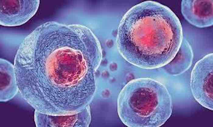 A light-activated remote control for cells