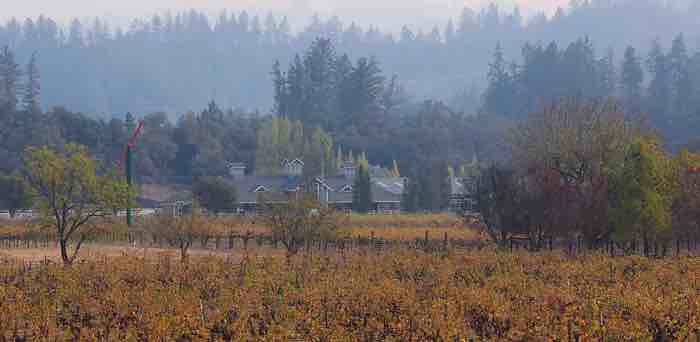 A detective story of wildfires and wine