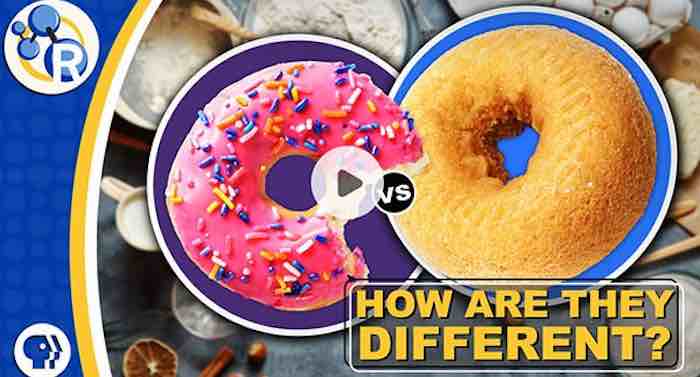 Watch: Why cake donuts and yeast donuts are so different