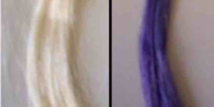 Blackcurrant dye could make hair coloring safer, more sustainable 