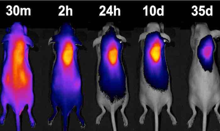 A homing beacon for chemotherapy drugs