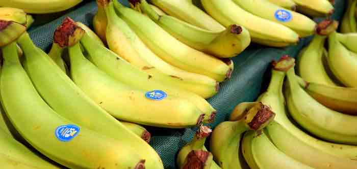 Appealing finding suggests why refrigeration dampens banana aromas