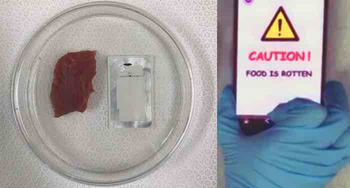 The ultimate 'smell test': Device sends rotten food warning to smartphones