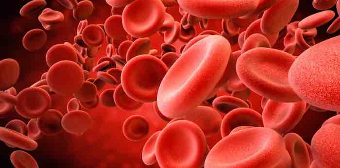 Could young blood hold secrets to longer, healthier life?