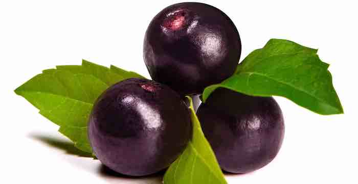 Acaí berry extracts fight malaria in mice