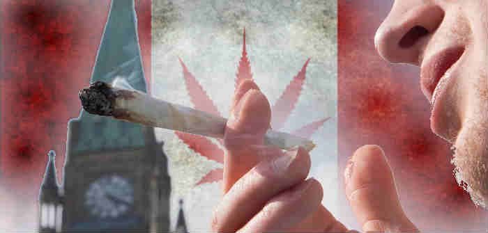 Despite majority support to legalize pot, nearly half of Canadians want to delay July 1 implementation