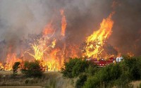 Australian Fires image