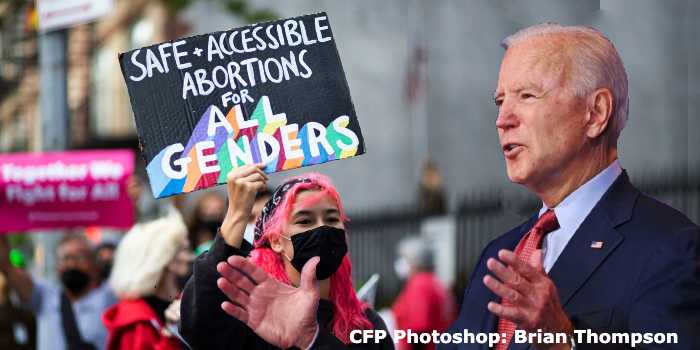 Democrat’s Demon Platform for 2022 – Codify the Death of Unborn, Transgender the Rest