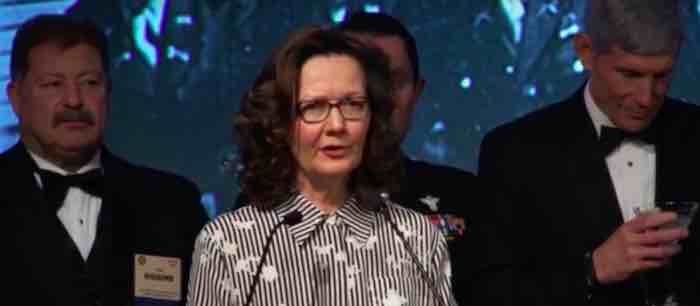 Media trying to harpoon new CIA nominee by labeling her 'controversial'