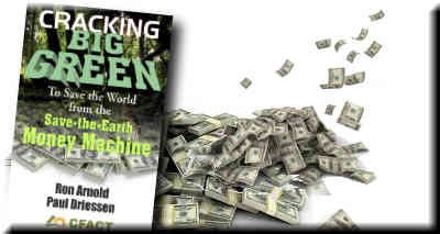 Exposing the Green Money Machine 