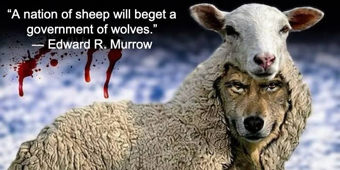 Of wolves, sheep and sheepdogs