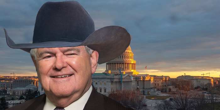Impeachment Trial Not even close to a Western Movie, Newt