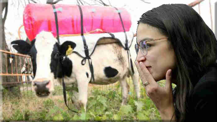 Green New Deal: Mademoiselle Methane, Killer of Cow Farts
