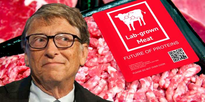 Bill Gates: From pushing Vaccines To Telling Folk What They Should  Or Shouldn’t Eat