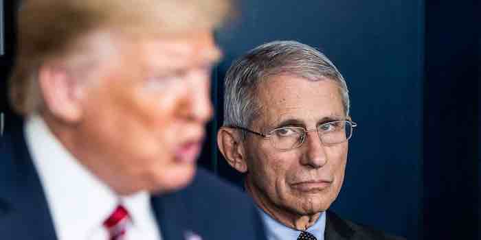 Does Corona Virus Task Force Star Dr. Fauci Want  to be Fired?