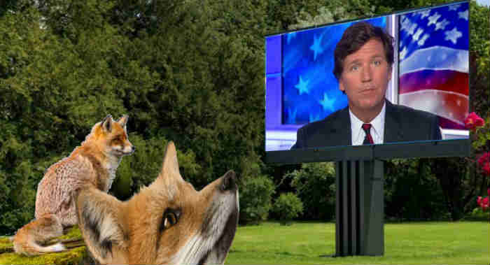 First Came Fox Polls Showing Trump As Trailing, Then Came Tucker Carlson’s Trump Drop-Out Fiction