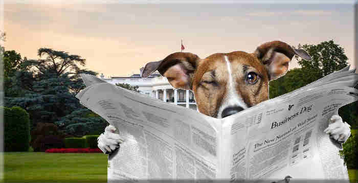 Coordinated Anti-Trump Editorial Day and Only Dogs are Barking