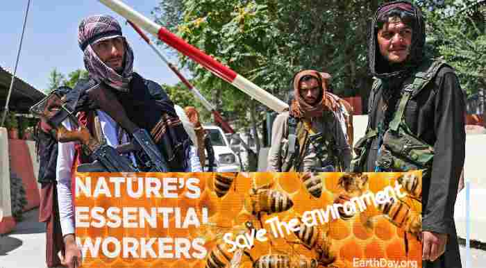 Save Lives—and the Environment—From The Taliban