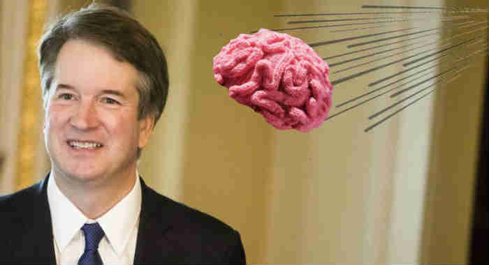 Kavanaugh accuser Christine Blasey’s Pink # Hat Brain