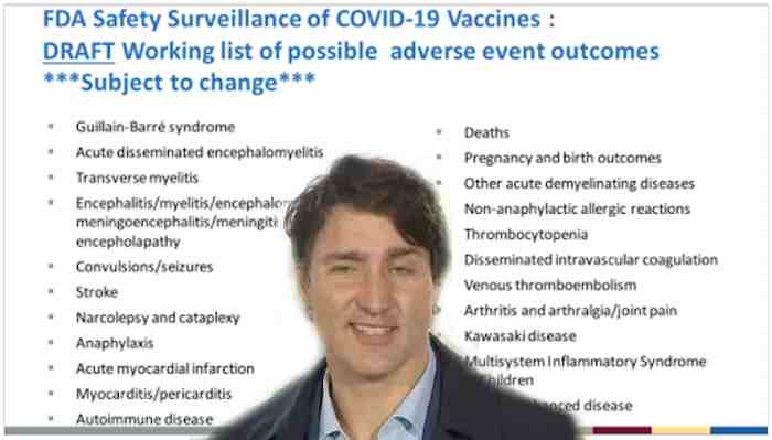 Forced-On-Masses COVID Passport A Diversion From Increasing Reports On Side Effects of Experimental Vaccines?