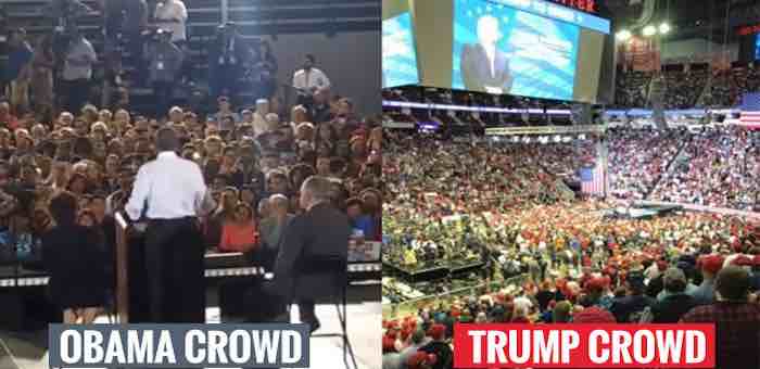 Comparing Crowd