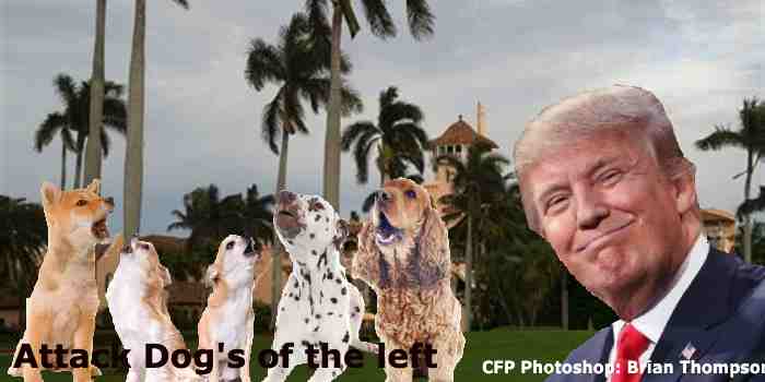 Democrats & Media Changing Schizophrenic Strategy On Attacking Donald Trump