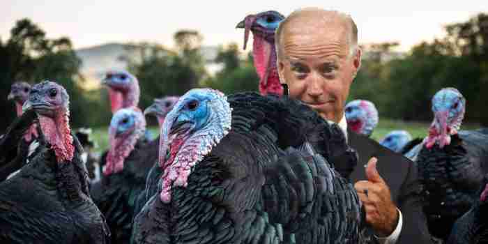 PRESIDENT JOE BIDEN IS THE TURKEY OF THE YEAR