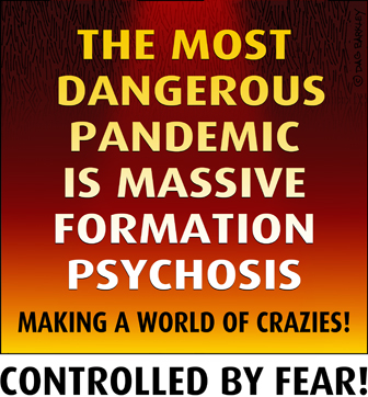 The Most Dangerous Pandemic is Massive Formation Psychosis