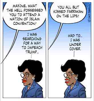 Maxine what the Hell possessed you to attend a Nation of Islam Convention?