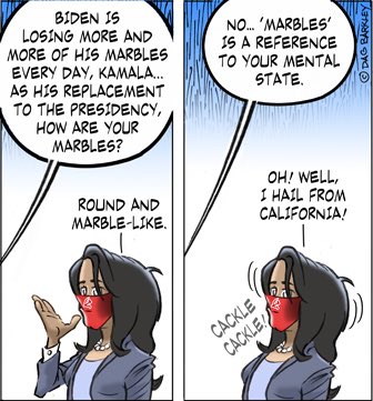 Biden Is Losing More and More Of His Marbles Every Day , Kamala